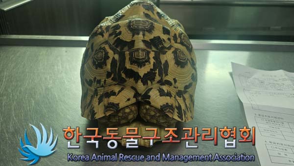 한국동물구조관리협회_411316202400521